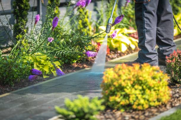 Best Restaurant Pressure Washing  in Butler, AL